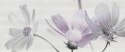 Dekor Scala Grey Flower 25x60 G.1