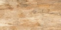 Gres Walnut Brown 60x120 G.1 matowy rektyfikowany
